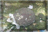 Фото из поездки на Бали (Индонезия)