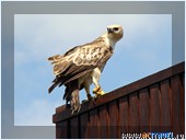Фото из поездки на Бали (Индонезия)