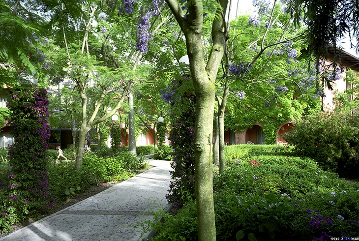  Club Med Napitia, 