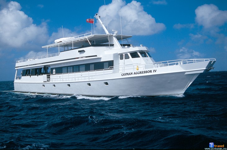     Cayman Aggressor IV