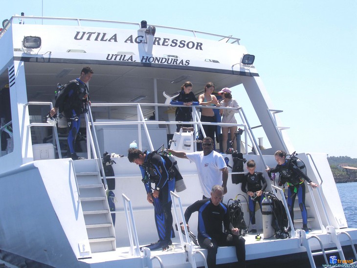 -  Utila Aggressor