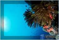  Yasawa Island Resort and Spa, 