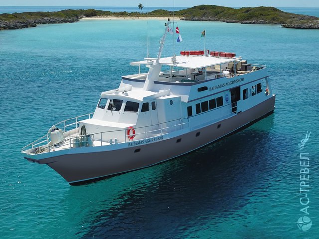   Bahamas Aggressor