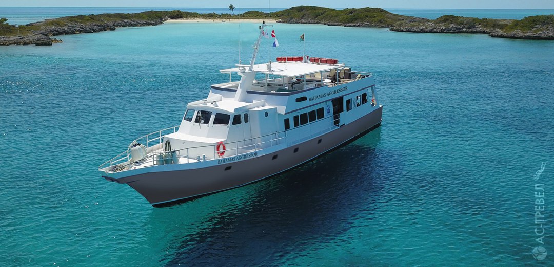    Bahamas Aggressor