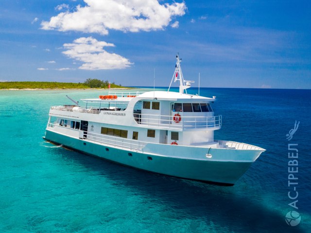   Cayman Aggressor IV
