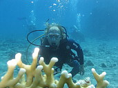   Club Med Coral Beach
