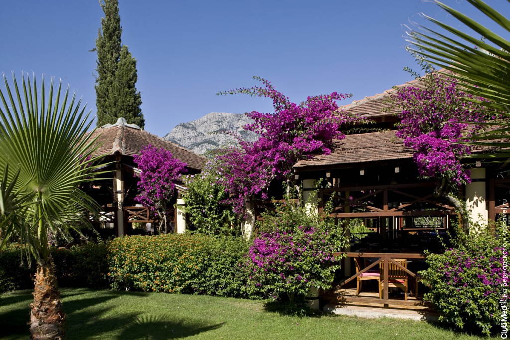  Club Med Palmiye