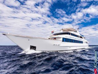   Red Sea RE Aggressor